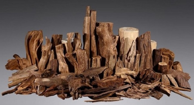 Những khối gỗ trầm hương có hình thù khác nhau