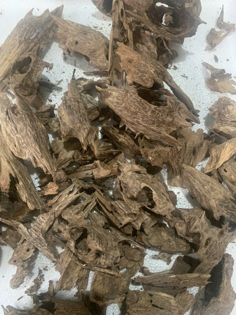 z7080231650001_826c4f407237a11ef7b980060d5cc6a8